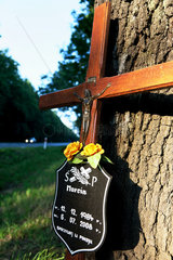 Dabrowa  Polen  Kreuz an einer Strasse erinnert an einen verunglueckten Mann