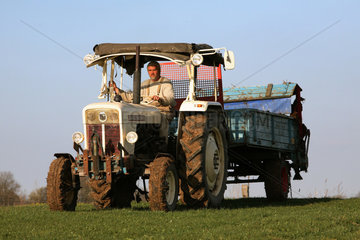 Prangendorf  ein Landwirt in seinem Traktor auf dem Feld