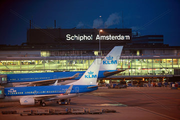 Amsterdam  Niederlande  Flugzeuge der KLM vor dem Terminal des Flughafen Schiphol