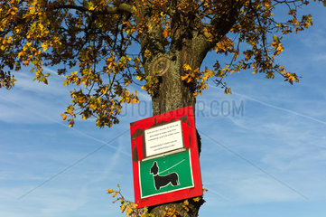 Hilkerode  Deutschland  Baumstamm mit einem Hinweisschild fuer die Anleinpflicht von Hunden