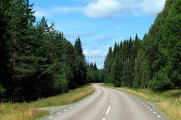 Storsa Lesjoen  Schweden  kurvige Landstrasse durch den Nadelwald