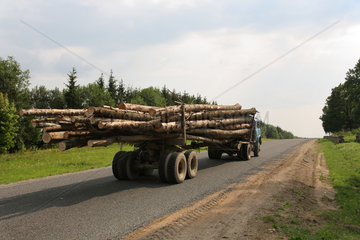 Galsany  Weissrussland  ein LKW transportiert Baumstaemme