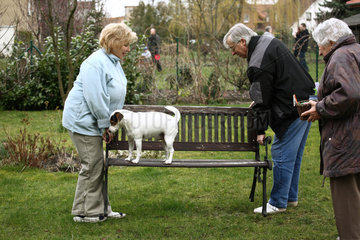 Cottbus  Deutschland  Frau und Mann tragen eine Gartenbank mit Hund