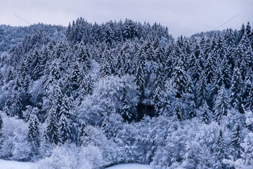 Oberaudorf  Deutschland  Schneelandschaft am Morgen