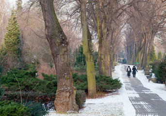 Berlin  Deutschland  verschneiter Weg auf dem Urnenfriedhof Seestrasse