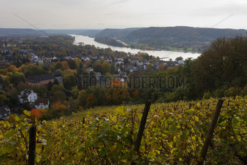 Koenigswinter  Deutschland  Blick vom Drachenfels auf den Rhein und das Siebengebirge