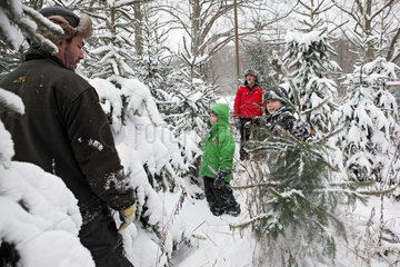 Alt Kaetwin  Deutschland  Kinder suchen sich einen Weihnachtsbaum im Wald aus