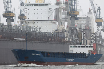 Hamburg  Deutschland  Frachtschiff Echoship Anke-Angela im Hamburger Hafen