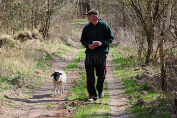 Neu Kaetwin  Deutschland  Mann geht mit seinem Schaf spazieren