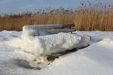 Wustrow  Deutschland  schneebedeckte Sitzbank am Boddenrand