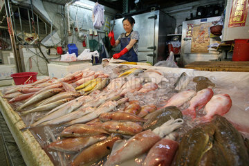 Hong Kong  China  Fischverkauf