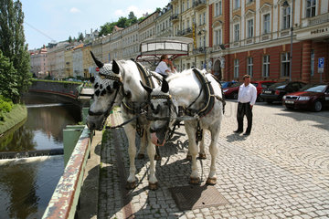 Karlsbad  Tschechische Republik  Pferdedroschke in der Altstadt