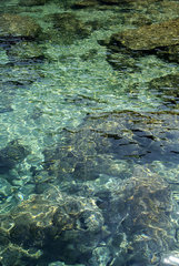 Sardinien  Wasseroberflaeche am Capo La Testa