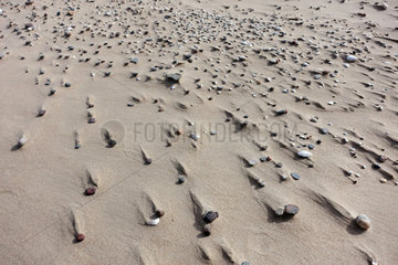 Kolberg  Polen  Kieselsteine und Muschelschalen am Strand