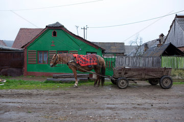 Neumarkt am Mieresch  Rumaenien  Pferdewagen vor einem Bauernhaus