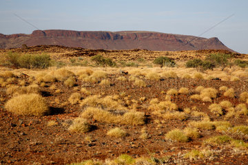 Tom Price  Australien  Landschaft im australischen Outback