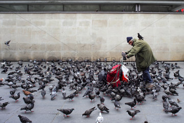 Paris  Frankreich  ein alter Mann zwischen Tauben