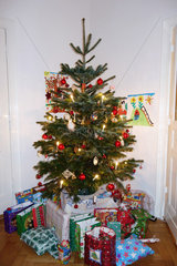Berlin  Deutschland  Geschenke unter einem festlich geschmueckten Weihnachtsbaum