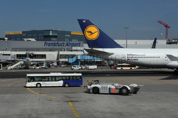 Frankfurt am Main  Deutschland  Maschine der Lufthansa auf dem Flughafen Frankfurt