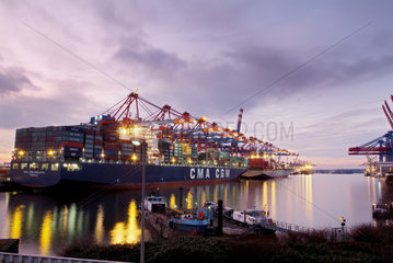 Hamburg  Deutschland  Containerschiffe am EUROGATE Container Terminal