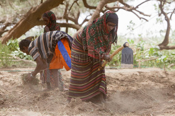 Awash  Aethiopien  Menschen bei der Feldarbeit
