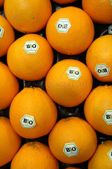 Berlin  Deutschland  Orangen mit Bio-Siegel