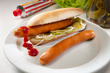 Riedlingen  Deutschland  Hot Dog mit Ketchup auf einem Teller