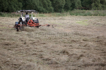 Prangendorf  Deutschland  Landwirt auf einem Traktor beim Heuwenden