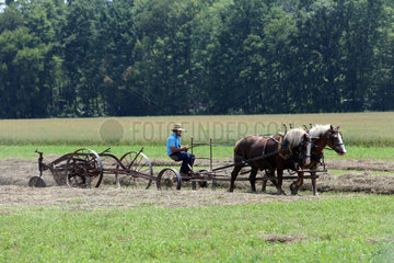 Punxsutawney  USA  Bauer der Religionsgemeinschaft Amish People bei der Heuernte