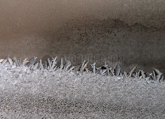 Berlin  Deutschland  Eisblumen an einer Fensterscheibe