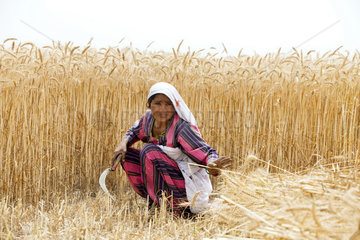 Hamzomahar  Pakistan  Frau bei der Feldarbeit