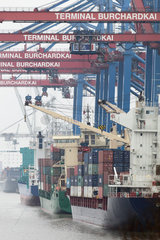 Hamburg  Deutschland  Containerschiffe am Containerterminal Burchardkai