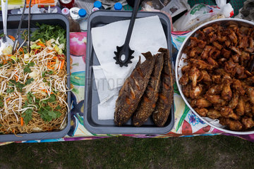 Berlin  Deutschland  asiatisches Essen auf der Thaiwiese im Preussenpark Berlin