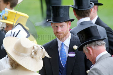Royal Ascot  Grossbritannien  Prinz Harry  Herzog von Sussex