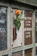 Berlin  Deutschland  Blumenschmuck an einer Urnengrabstelle