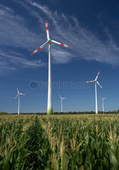 Schwanebeck  Deutschland  Windraeder inmitten eines Maisfeldes