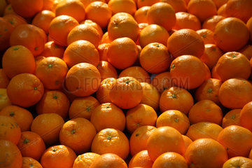 Berlin  Deutschland  Orangen auf der Fruit Logistica 2008