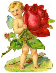 Elfe mit roter Rose  1893