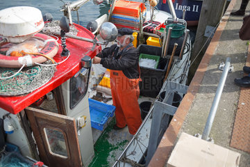 Eckernfoerde  Deutschland  Kuestenfischer verkaufen fangfrischen Fisch direkt vom Fischerboot
