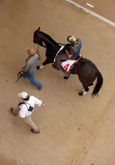 Dubai  Vereinigte Arabische Emirate  Aufsicht  Pferd und Reiter werden gefuehrt