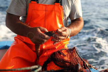 Alicudi  Italien  Detailaufnahme  Fischer holt einen Fisch aus einem Netz