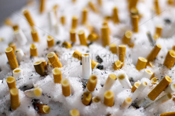 Berlin  Deutschland  Zigarettenkippen im Schnee