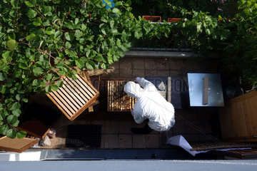 Berlin  Deutschland  Imker kontrolliert seine Bienenvoelker auf seinem Balkon