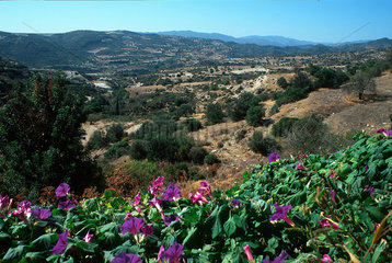 Republik Zypern - bergige Landschaft bei Lefkara