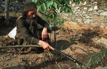 Autonome Moenchsrepublik Athos  Moench eines Klosters bei der Gartenarbeit