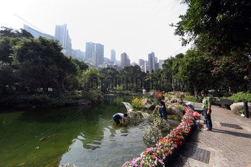 Hong Kong  China  Landschaftsgaertner verschoenern einen Teich