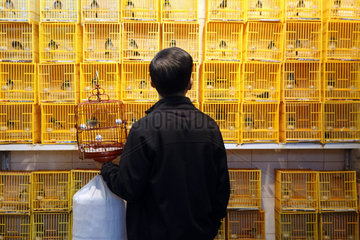 Hong Kong  China  Mann schaut sich Singvoegel auf dem Bird Market an