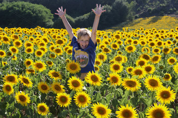 Torre Alfina  Italien  Junge steht jubelnd in einem Sonnenblumenfeld