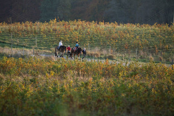 Prangendorf  Deutschland  Herbst  Kinder machen einen Spaziergang mit Pferden