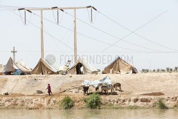 Lujja Khan Jakrani  Pakistan  Fluechtlingslager auf einem Damm